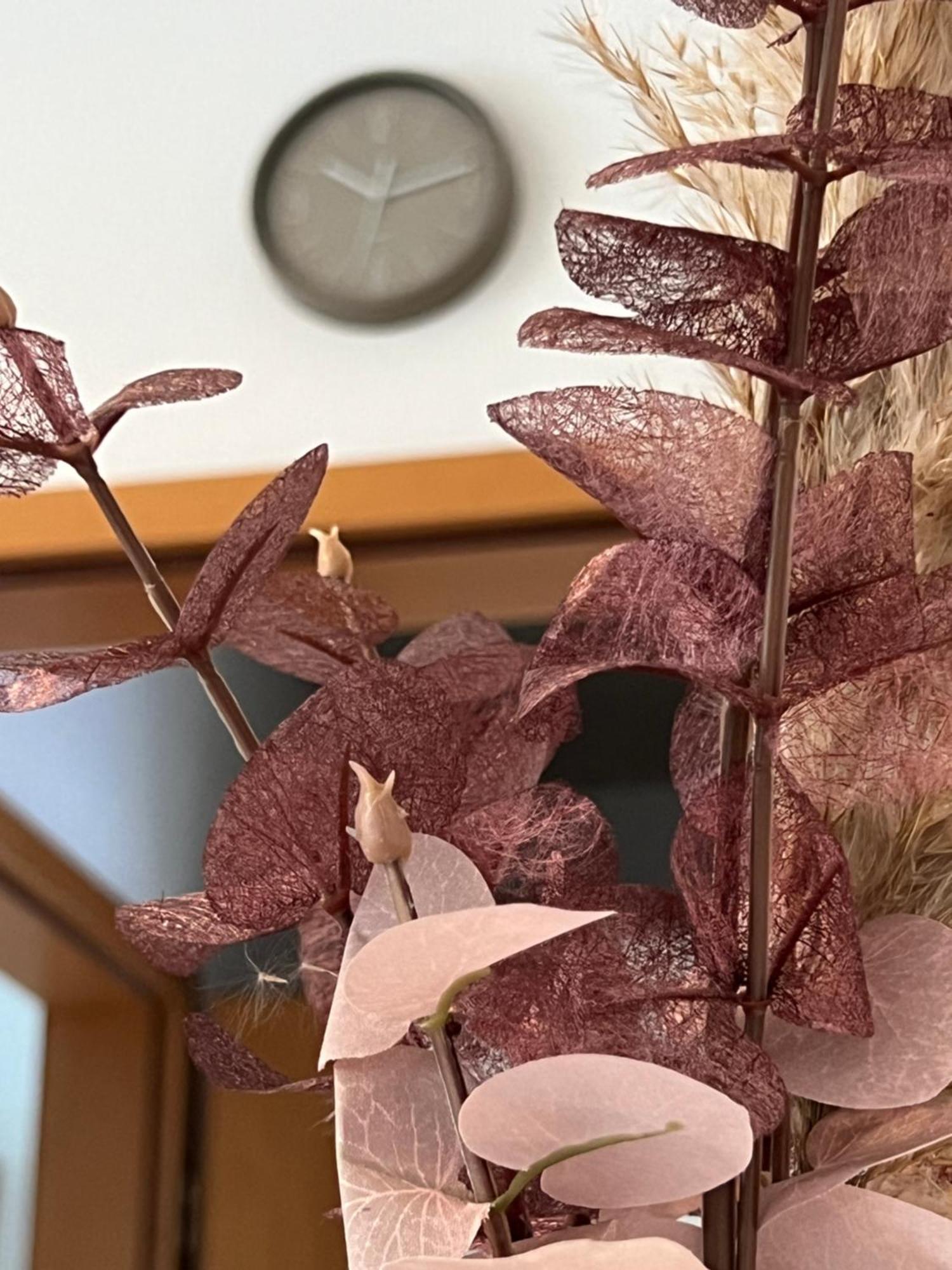 Auszeit Im Pott - Ferienwohnung Lavendel Herten  Exteriör bild