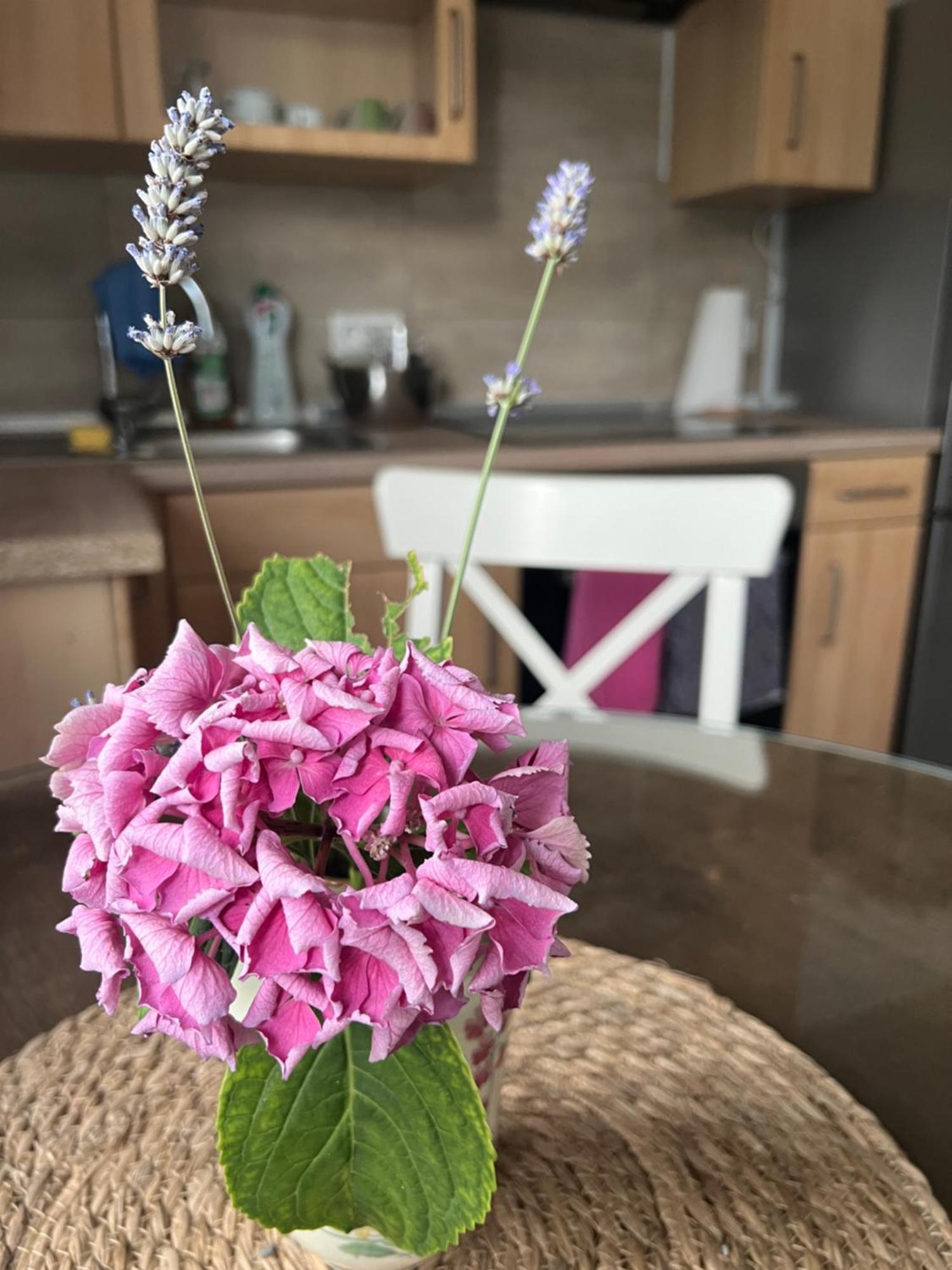 Auszeit Im Pott - Ferienwohnung Lavendel Herten  Exteriör bild
